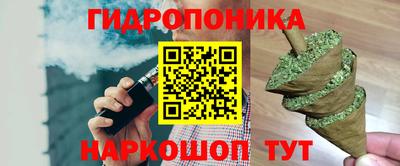 гашиш Новодвинск