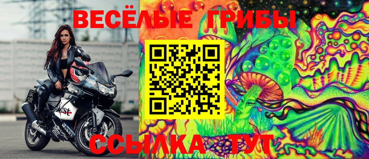 Галлюциногенные грибы Psilocybe  Вход с VPN  Сосновый Бор  Псилоцибиновые грибы Psilocybe 