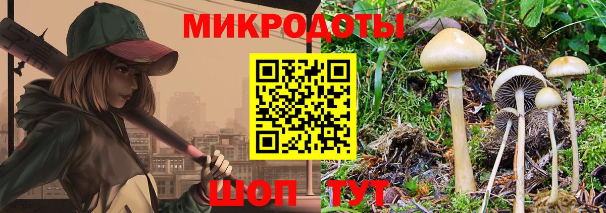 Галлюциногенные грибы MAGIC MUSHROOMS Сосновый Бор